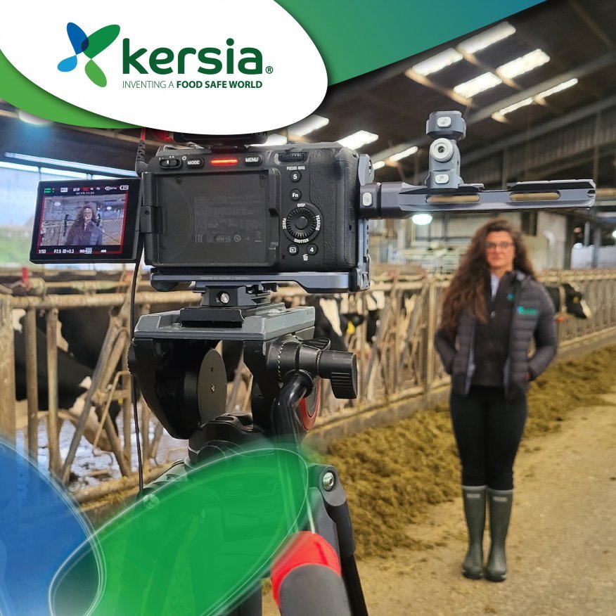 Supporting Farmers from Calf to Cow – The Kersia Commitment