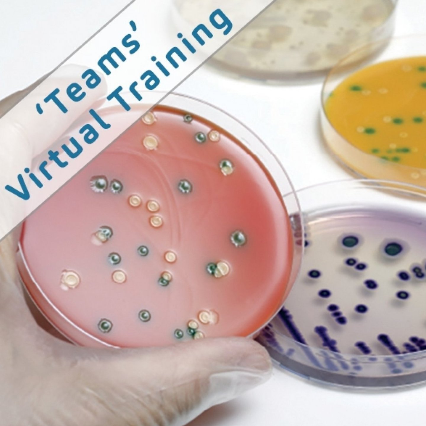 Level 2 Listeria Awareness Virtual Training