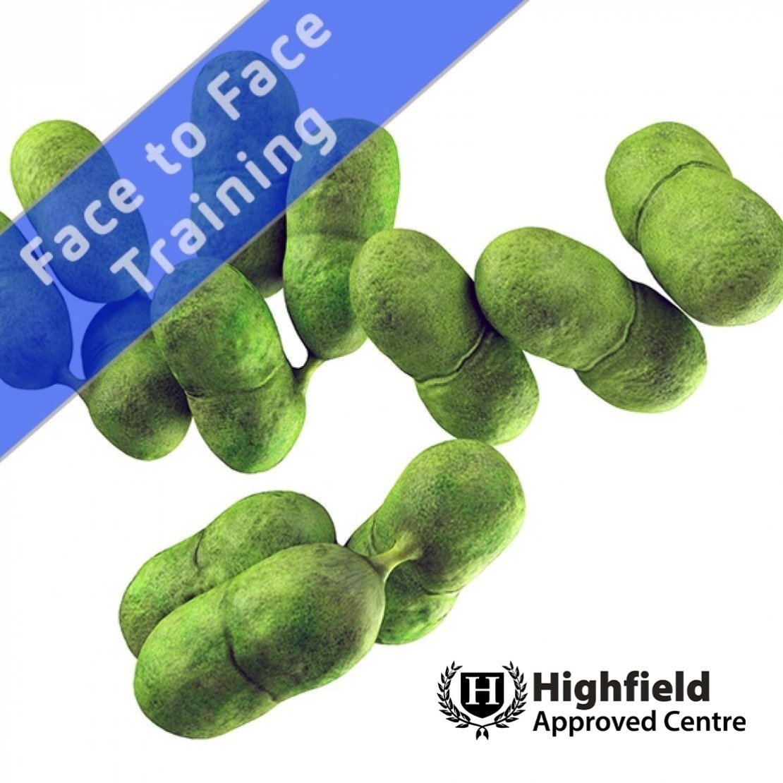 L4 Listeria Management