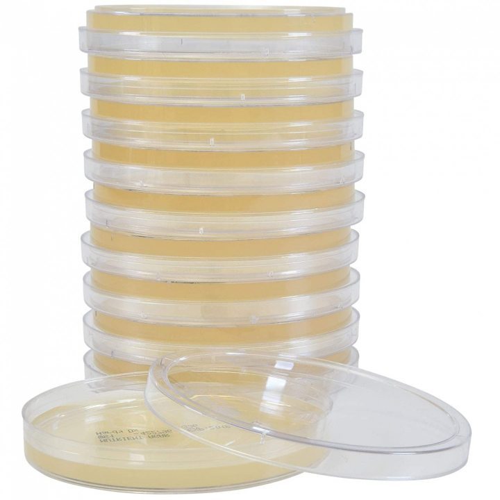 Traditional Microbiological Equipment
