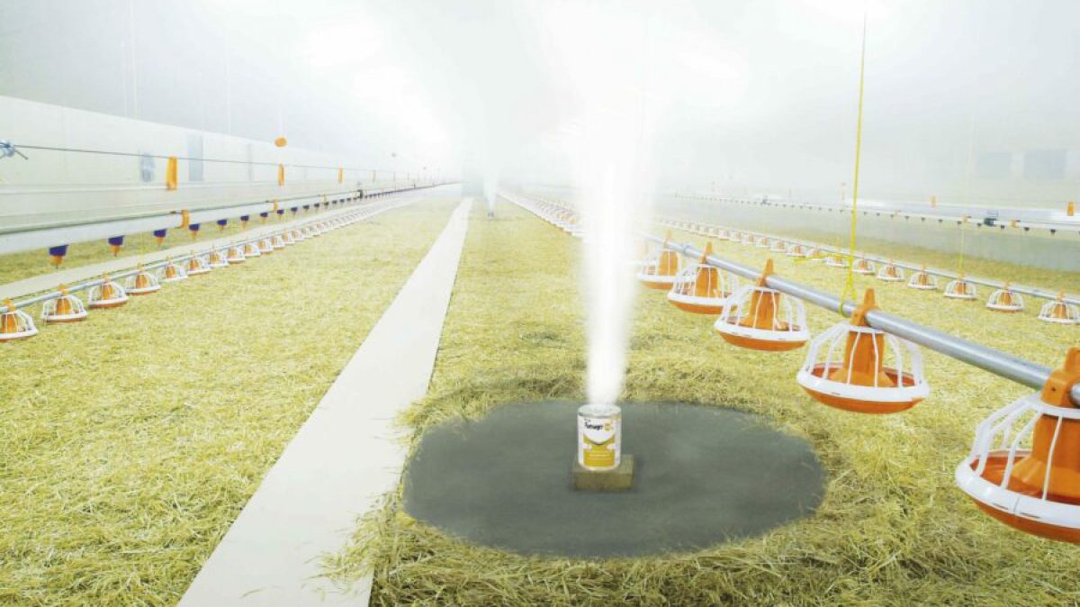 Poultry Farm Fogging & Ultradifussion Kersia Farm Hygiene