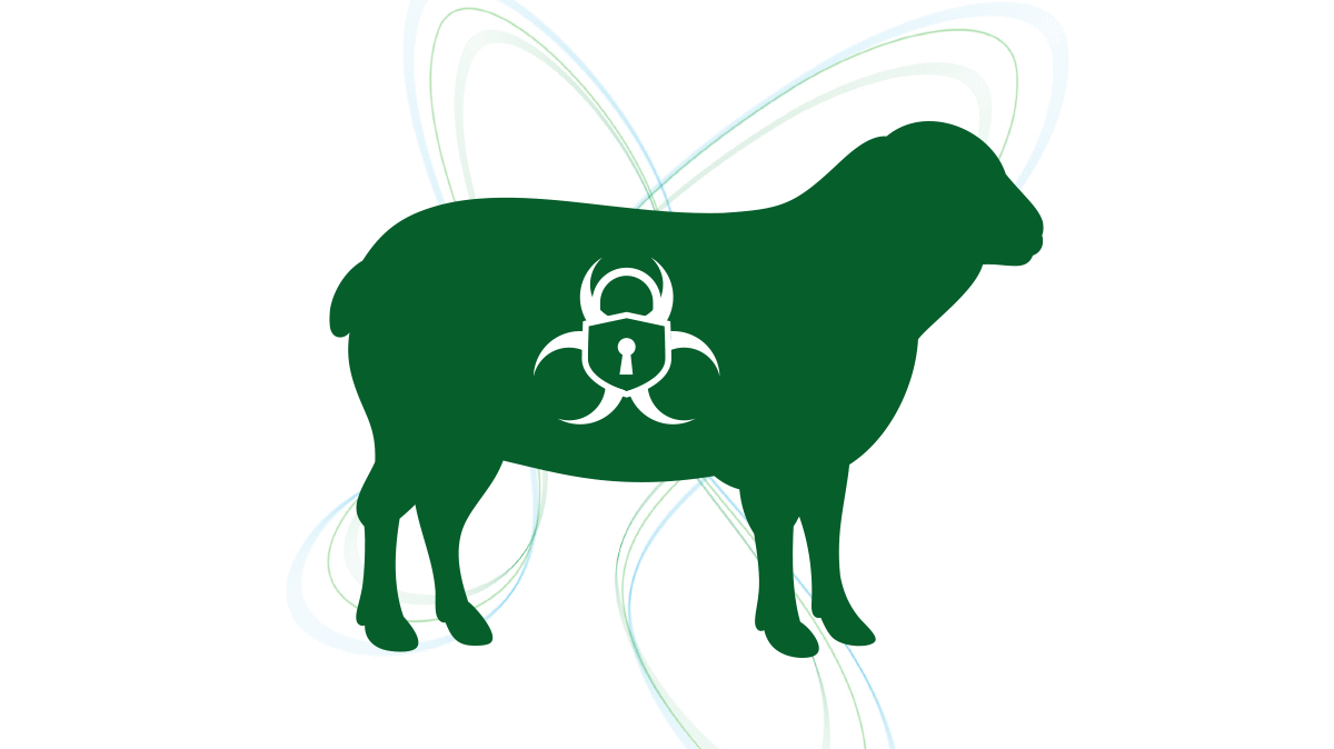 sheep biosecurity