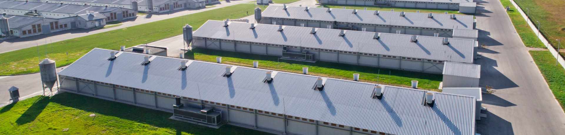 Livestock housing hygiene?v6479970