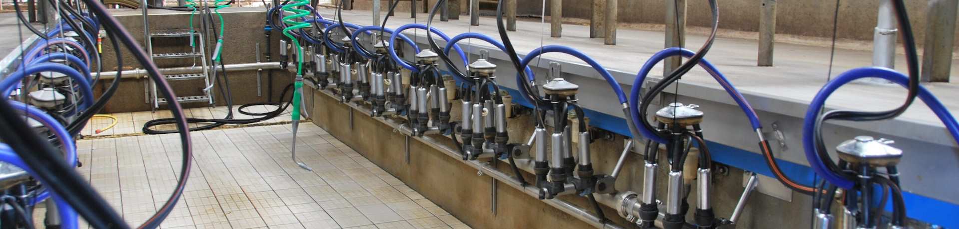 Milking Parlour Hygiene?v4689670