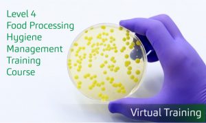 Training header image