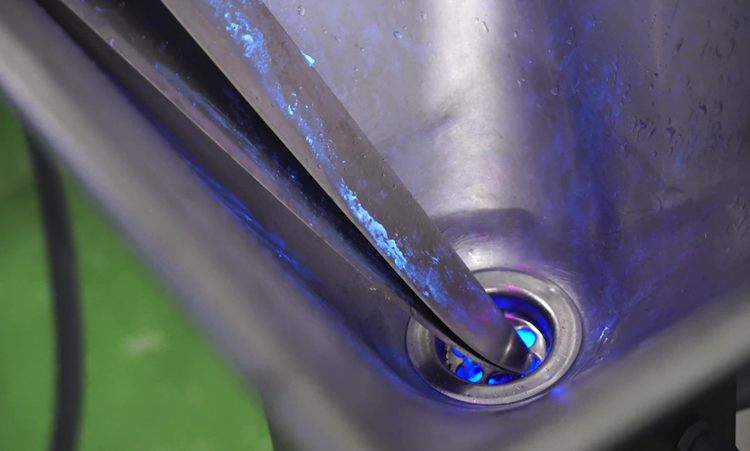 Biofilm under UV Light