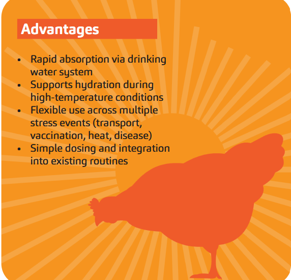 Beat the heat hydrate 4