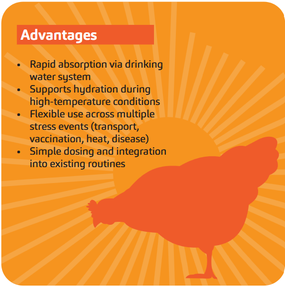 Beat the heat hydrate 4