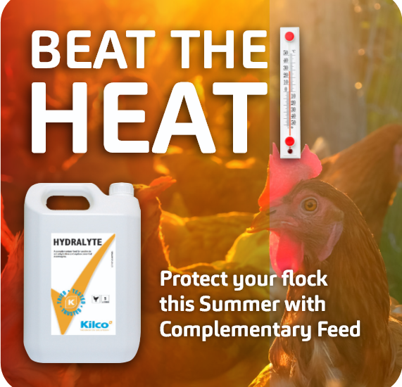 beat the heat hydrate intro