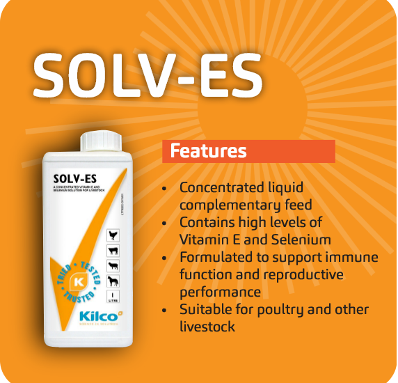 BTH Solv-es features