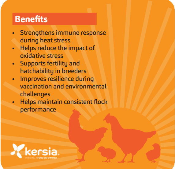 BTH Solv-es benefits