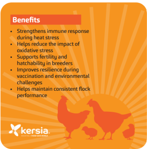 BTH Solv-es benefits
