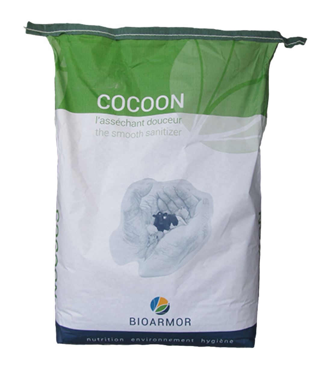 Cocoon