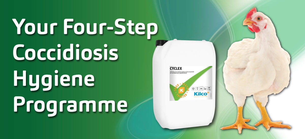 conssidiosis 1